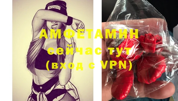 гидра Надым